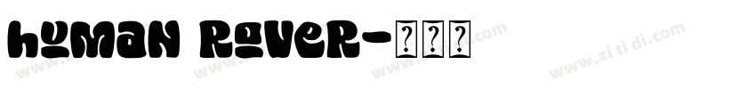 human rover字体转换